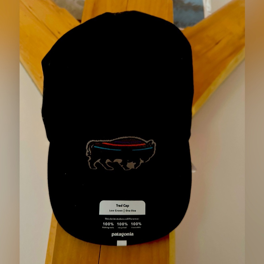 Patagonia Black Cap with Logo